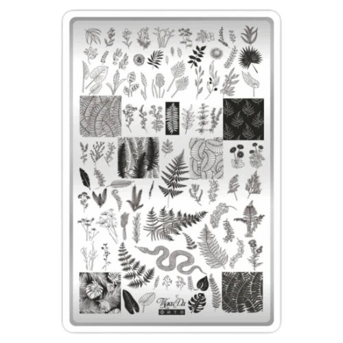 taki-da-plytka-do-stempli-taki-da-phyto-03.webp
