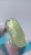 04_Party-base.PNG